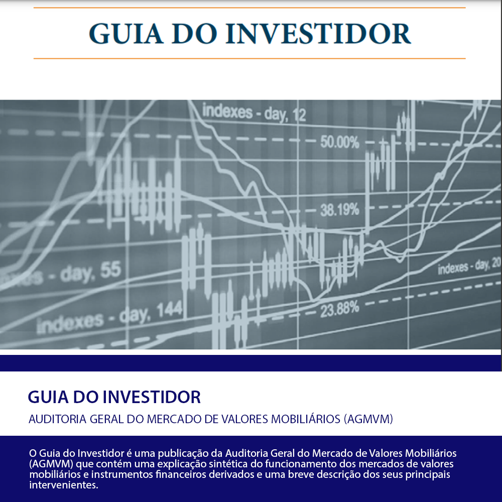 Guia do investidor